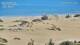 Playa del Ingles (Gran Canaria) 30.04.2025 15:55
