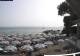 Zoagli 14.06.2025 15:49