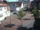 Bramsche 30.04.2025 15:50