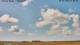 Hallig Hooge 03.07.2025 15:50