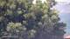 Nigran 14.06.2025 15:50
