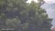 Nigran 29.04.2025 15:50