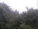 Herdecke 08.06.2025 15:50