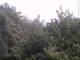 Herdecke 14.07.2025 15:53