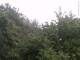 Herdecke 05.07.2025 15:50