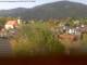Arnbruck 29.04.2025 15:45