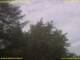 Nettetal 12.07.2025 15:53