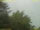 Nettetal 14.06.2025 15:50