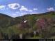 Diedenshausen (Bad Berleburg) 30.04.2025 15:51