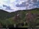 Diedenshausen (Bad Berleburg) 29.04.2025 15:51