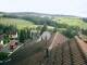 Wolfenhausen (Taunus) 08.06.2025 15:51