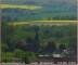 Lauenau 30.04.2025 15:51