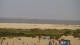 Borkum 11.07.2025 15:45