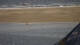 Borkum 02.07.2025 15:45