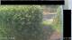 Hasloch 08.06.2025 15:51