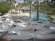 Punta Cana 21.06.2025 15:51