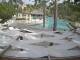 Punta Cana 05.07.2025 15:51