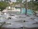 Punta Cana 06.07.2025 15:51
