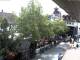 Rimbach 08.06.2025 15:45