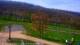 Nellysford, Virginia 30.04.2025 15:48