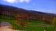 Nellysford, Virginia 30.04.2025 15:48