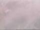 Fort Lauderdale, Florida 03.07.2025 15:49
