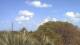 West Palm Beach, Florida 30.04.2025 15:50