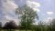 Harriman, New York 01.07.2025 15:51