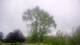 Harriman, New York 08.06.2025 15:51