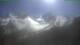 Arolle 29.04.2025 15:45