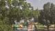Callisburg, Texas 08.06.2025 15:54