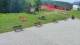 Krynica 08.06.2025 15:46