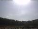 Neuenhof im Aargau 03.07.2025 16:52