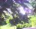 Flachau (Salisburgo) 14.06.2025 16:52