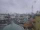 Koshigaya 30.04.2025 16:23