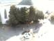 Oberstdorf 11.06.2025 16:45