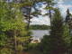 Hoel Pond, New York 10.07.2025 16:52