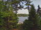Hoel Pond, New York 13.07.2025 16:58