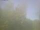Ittigen 30.04.2025 16:46