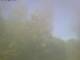 Ittigen 29.04.2025 16:46