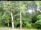 Hilversum 05.06.2025 16:54