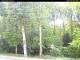 Hilversum 20.03.2025 16:54