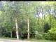 Hilversum 08.05.2025 16:54