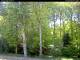 Hilversum 29.04.2025 16:54