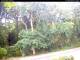 Hilversum 15.07.2025 16:00