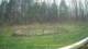 Tustin, Michigan 29.04.2025 16:54