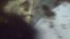Buchanan, Virginia 11.07.2025 16:58