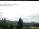 Birnbrunn 08.07.2025 16:53