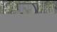 Powderhorn Resort, Colorado 14.06.2025 16:54