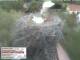 Aurach 08.05.2025 16:54